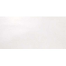 Плитка 40*80 Dwell Ice